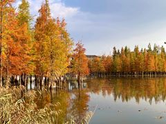 -白鹭湾湿地公园