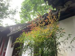 -秋霞圃