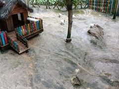 -呀诺达热带雨林