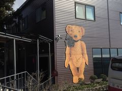 -济州岛泰迪熊博物馆