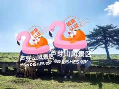 -芦芽山旅游度假区