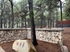 -东海森林温泉度假酒店