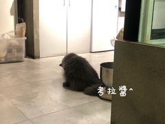 -塔拉苏咖啡(中信丹阳花园店)