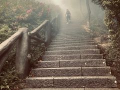 -梧桐山风景名胜区