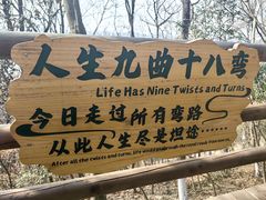 -天目湖山水园
