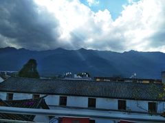 -喵屿·大理花园猫咖