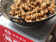 -海丝金凤(金鱼店)