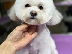 -爱派特动物医院·全科诊疗中心