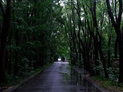 -同里国家湿地公园