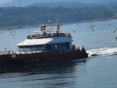 -海驴岛(荣成市)