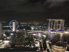 -新加坡瑞士史丹福酒店