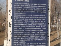 -丁香湖公园