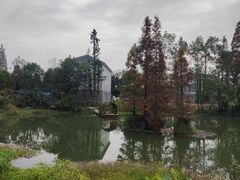 -桤木河湿地公园