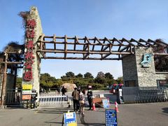 -塘沽森林公园