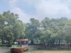 -平房公园
