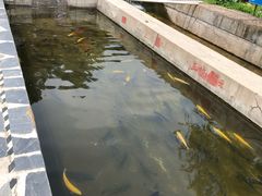 -北京水岸山吧度假村(雁栖镇店)