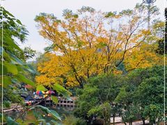 -白马涧龙池景区