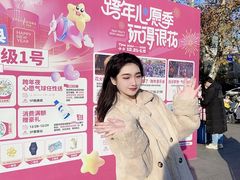 -金茂览秀城