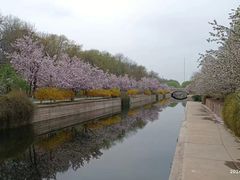 -海棠花溪(元大都城垣遗址公园)