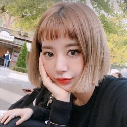 -艺之剪