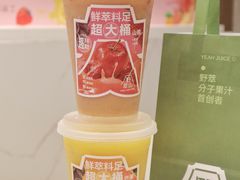 -野萃山·潮汕厚果汁(十亩地店)