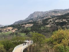 -青岛森林野生动物世界