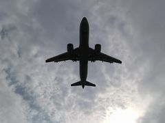-空港花田景区