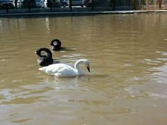-新疆天山野生动物园