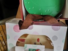 -小西家作•精致蛋糕(富力爱丁堡店)