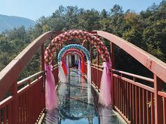-仙岛湖旅游风景区