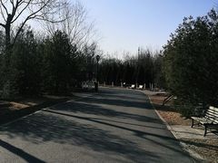 -永定河休闲森林公园