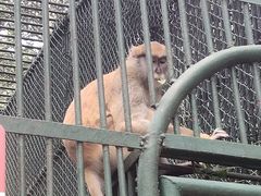 -秦皇岛野生动物园