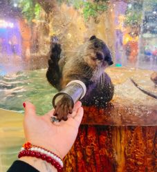 -Zoolung Zoolung动物主题公园(海信广场店)