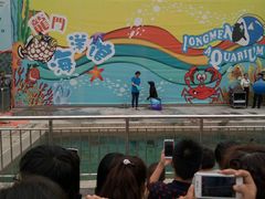 -洛阳龙门海洋馆