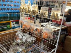 -蓝湾碧波·老字号·疍家非遗海上餐厅