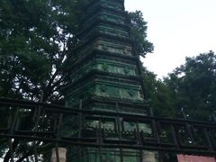 android_upload_pic-文瀛公园