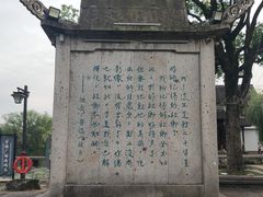 -鲁镇