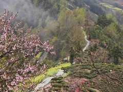 -石潭村