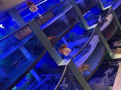 -七欣天香辣蟹火锅(南京建宁路大观天地店)