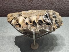 -河东池盐文化博览园