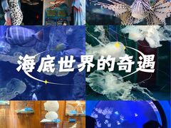 -左海海底世界
