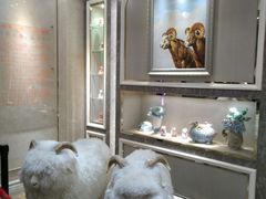 -新兴家喻酒家·羊城名宴(昌岗店)