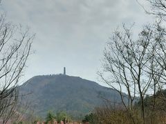 -冶父山国家森林公园
