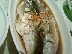 白鱼-西新饭店(城中店)