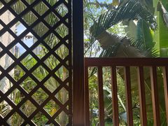 -碧桂园润杨溪谷温泉酒店