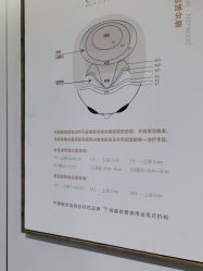 点击看大图 -熙朵美学植发连锁