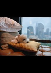 -茉莉智慧母婴护理中心(瑰丽店)
