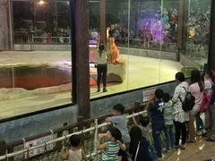 -清迈夜间动物园
