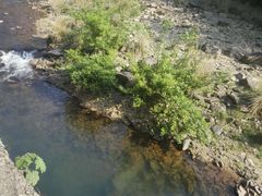 -楠溪江风景名胜区