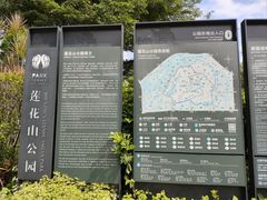 -莲花山公园